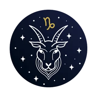 Steinbock Illustration